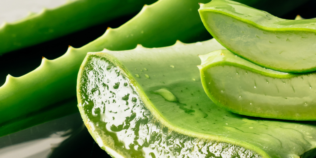 beneficios-aloe-vera