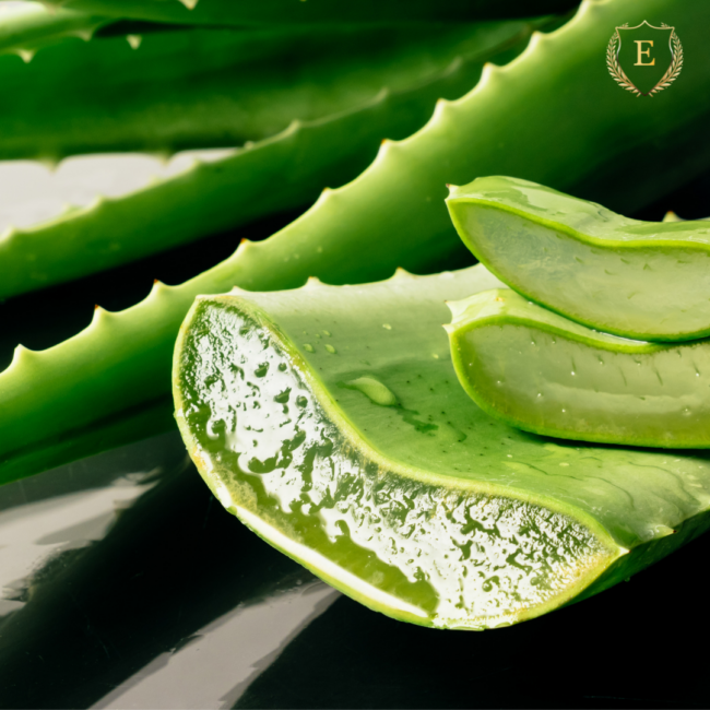 beneficios-aloe-vera
